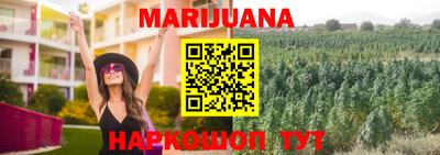 шишки Гусиноозёрск