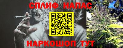 гашик Гусев