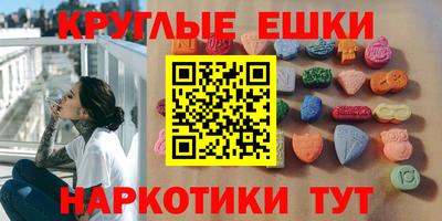 гашик Гусев