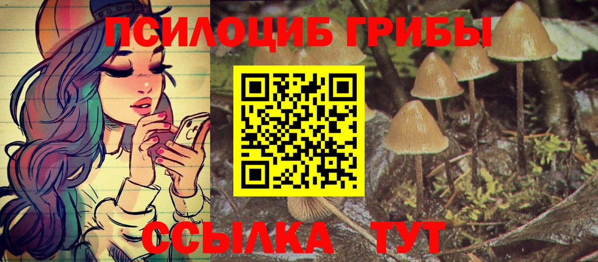 Галлюциногенные грибы MAGIC MUSHROOMS  Псилоцибиновые грибы Cubensis  Еманжелинск  Вход с VPN 