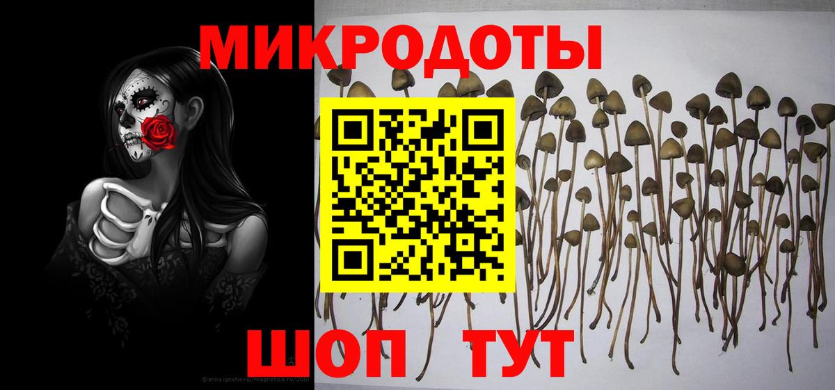 Псилоцибиновые грибы ЛСД Еманжелинск